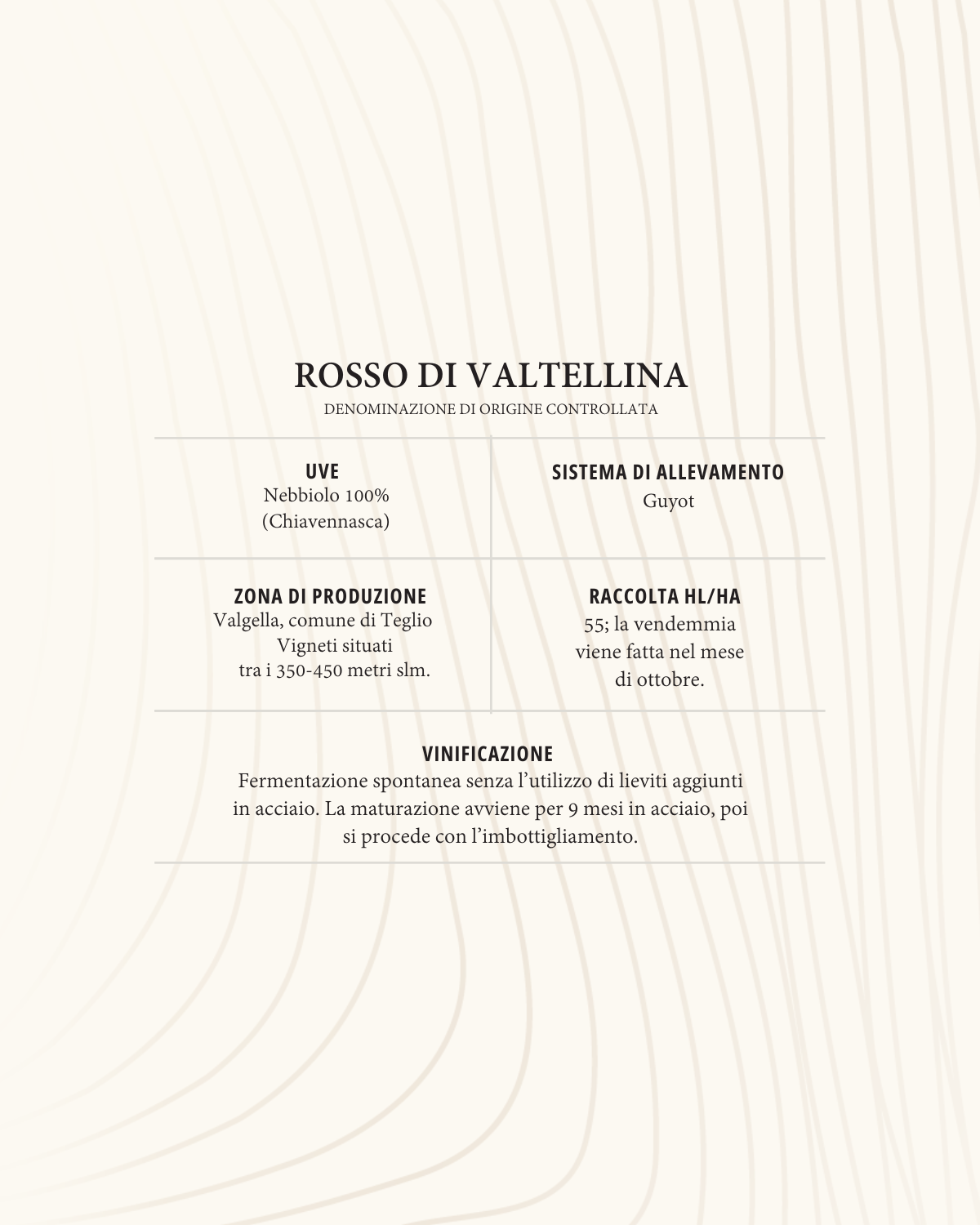 Rosso di Valtellina DOC - 6 bottiglie