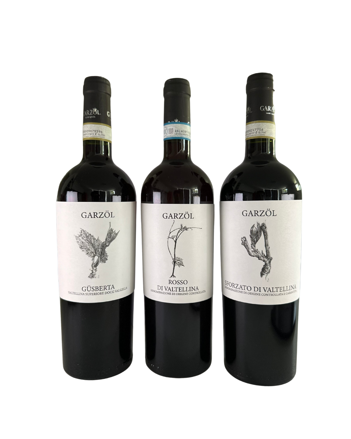 Rosso di Valtellina DOC + Valtellina Superiore Güsberta DOCG + Sforzato di Valtellina DOCG - 6 bottiglie