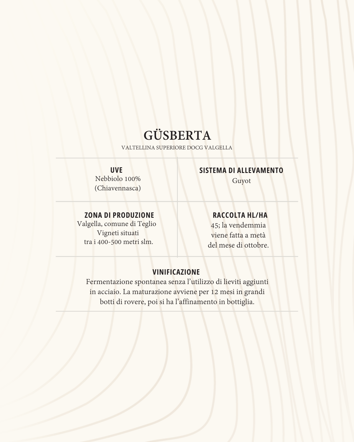 Valtellina Superiore Güsberta DOCG - 6 bottiglie