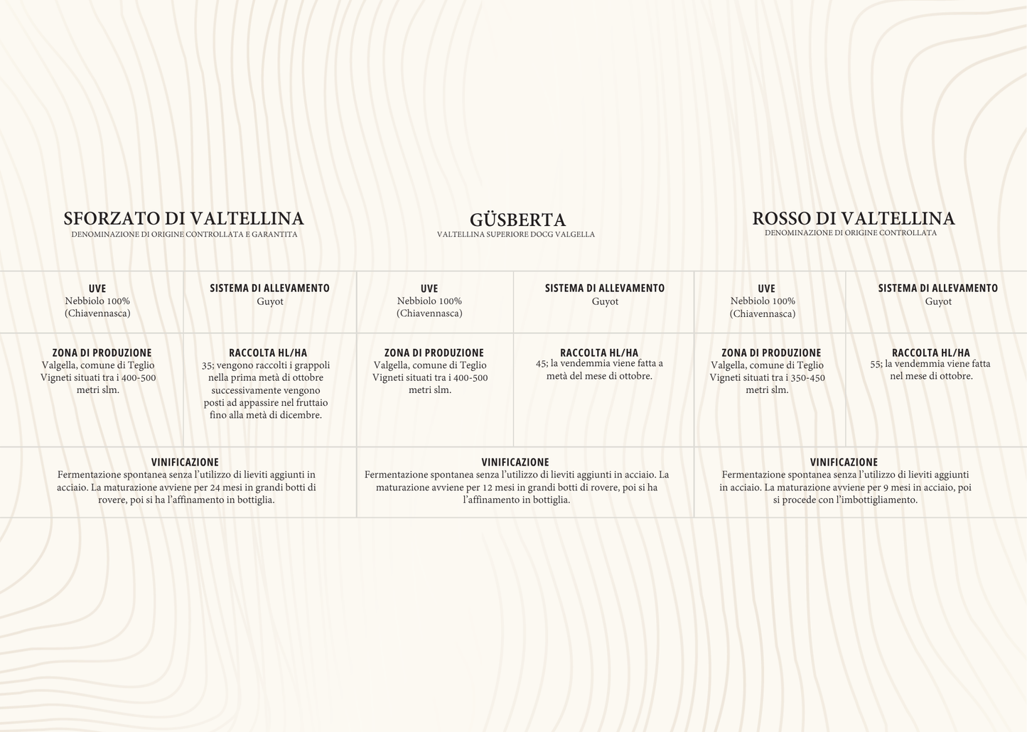 Rosso di Valtellina DOC + Valtellina Superiore Güsberta DOCG + Sforzato di Valtellina DOCG - 6 bottiglie