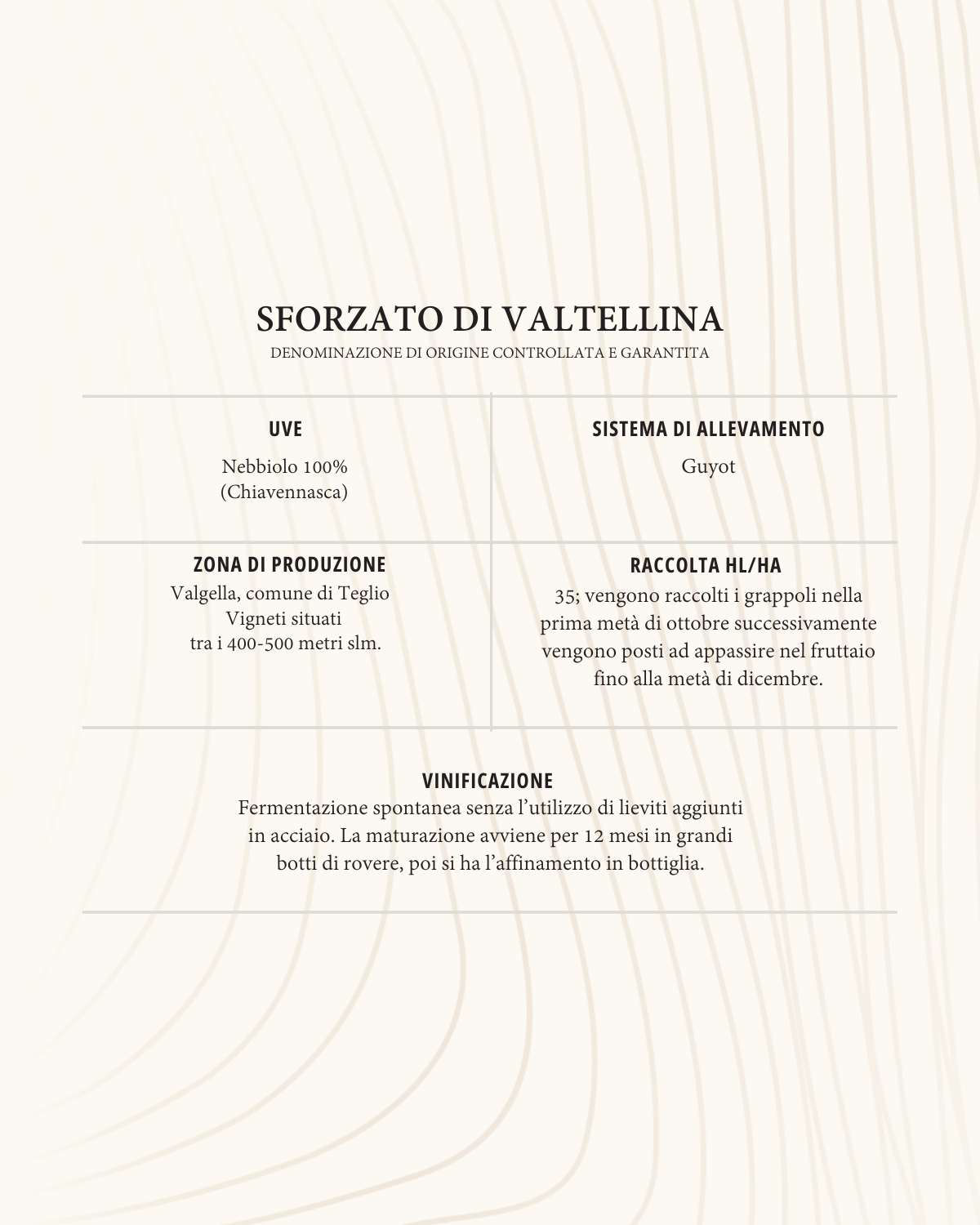 Sforzato di Valtellina DOCG - 6 bottiglie